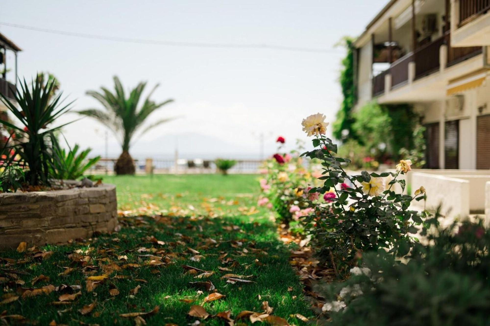 El Maisonette